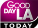 Zerona on Good Day LA, FOX